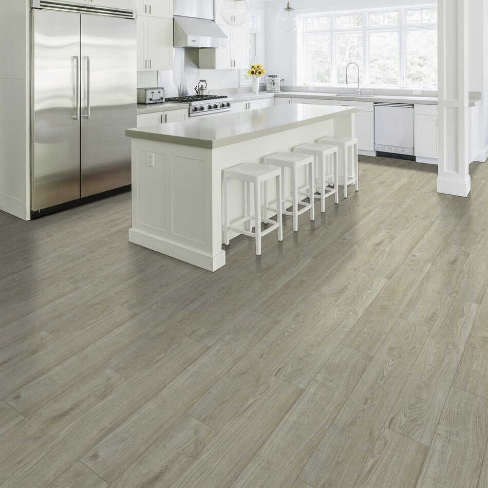 Shaw Floors Century Homes Hoyle Park II Wyoming Sky 01025_C407H