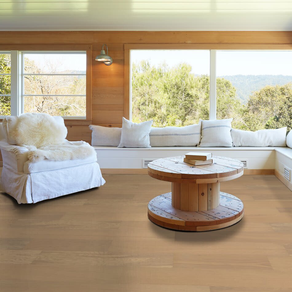 Shaw Floors Floorte Exquisite Glazed Oak 01101_FH813