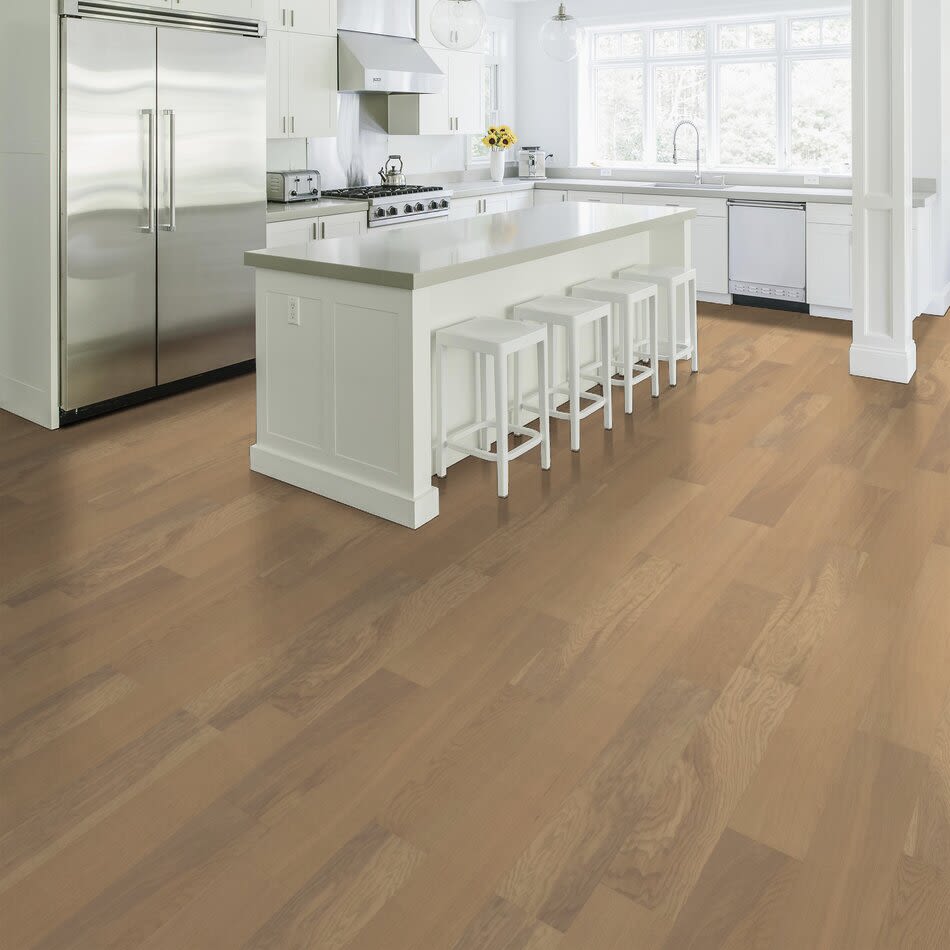Shaw Floors Floorte Exquisite Glazed Oak 01101_FH813