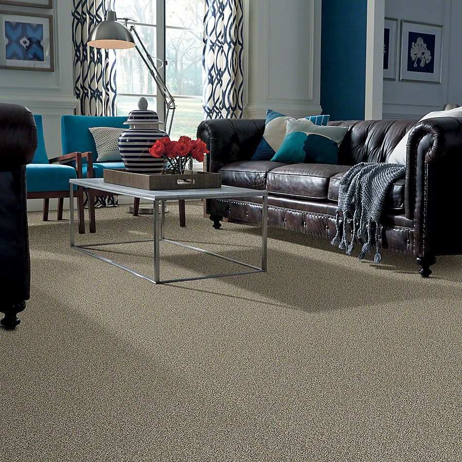 Shaw Floors Caress By Shaw Softly Surreal Classic II Dartmoor 0136A_BCC06