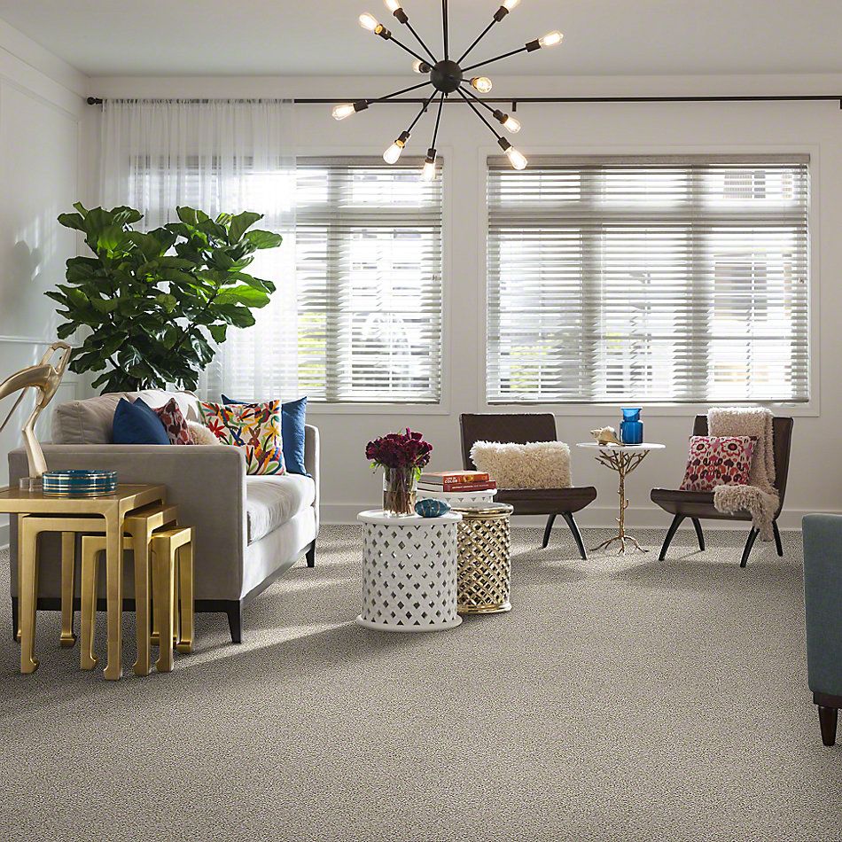 Shaw Floors Caress By Shaw Delicate Distinction Classic I Breton 0140B_BCC19