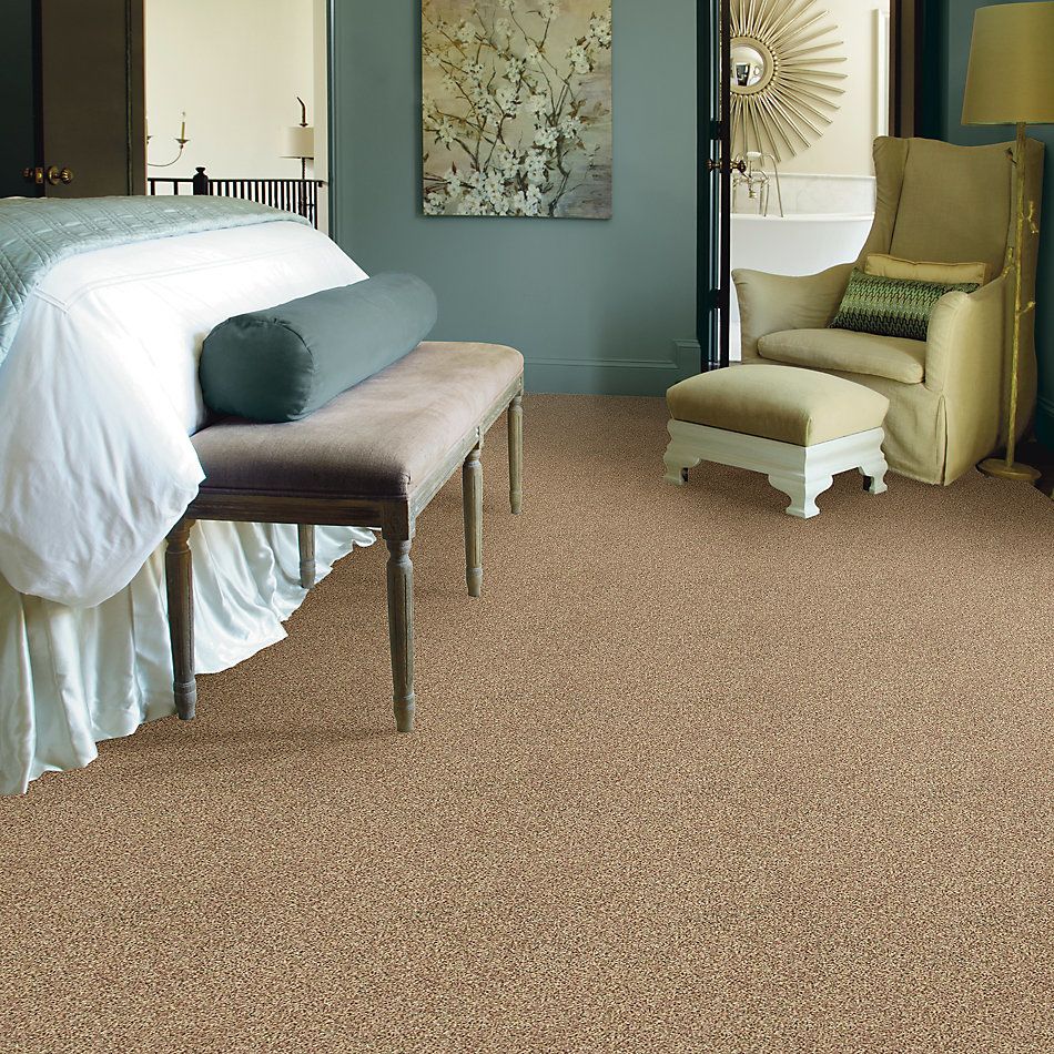 Anderson Tuftex American Home Fashions Nice Dreams I Berber Raw Silk 0172B_ZA813