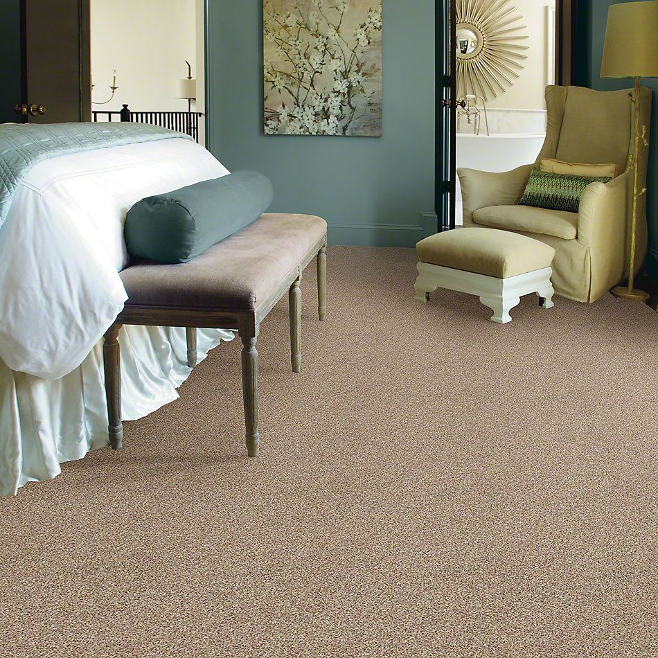 Anderson Tuftex SFA Go Ahead I Berber Heather 813SF_0174B