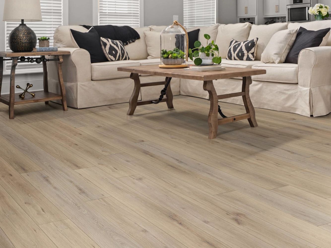 Shaw Floors Resilient Residential Paladin Plus Wild Dunes 07089_0278V