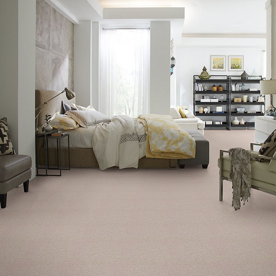Shaw Floors Ash Brook Basic Beige 03105_LS003