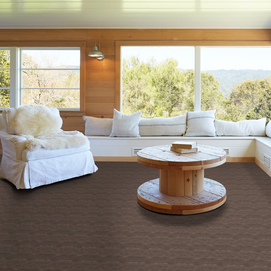Shaw Floors Carpets Plus Hardwood Destination Chiseled Hickory 6.38 Crystal Cave 05003_CH888