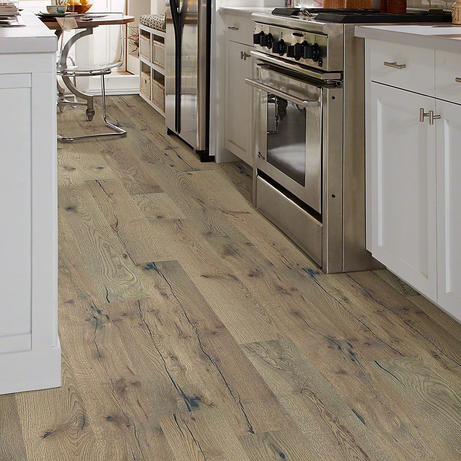 Shaw Floors Shaw Hardwoods Compute Wilderness 05048_SMW04