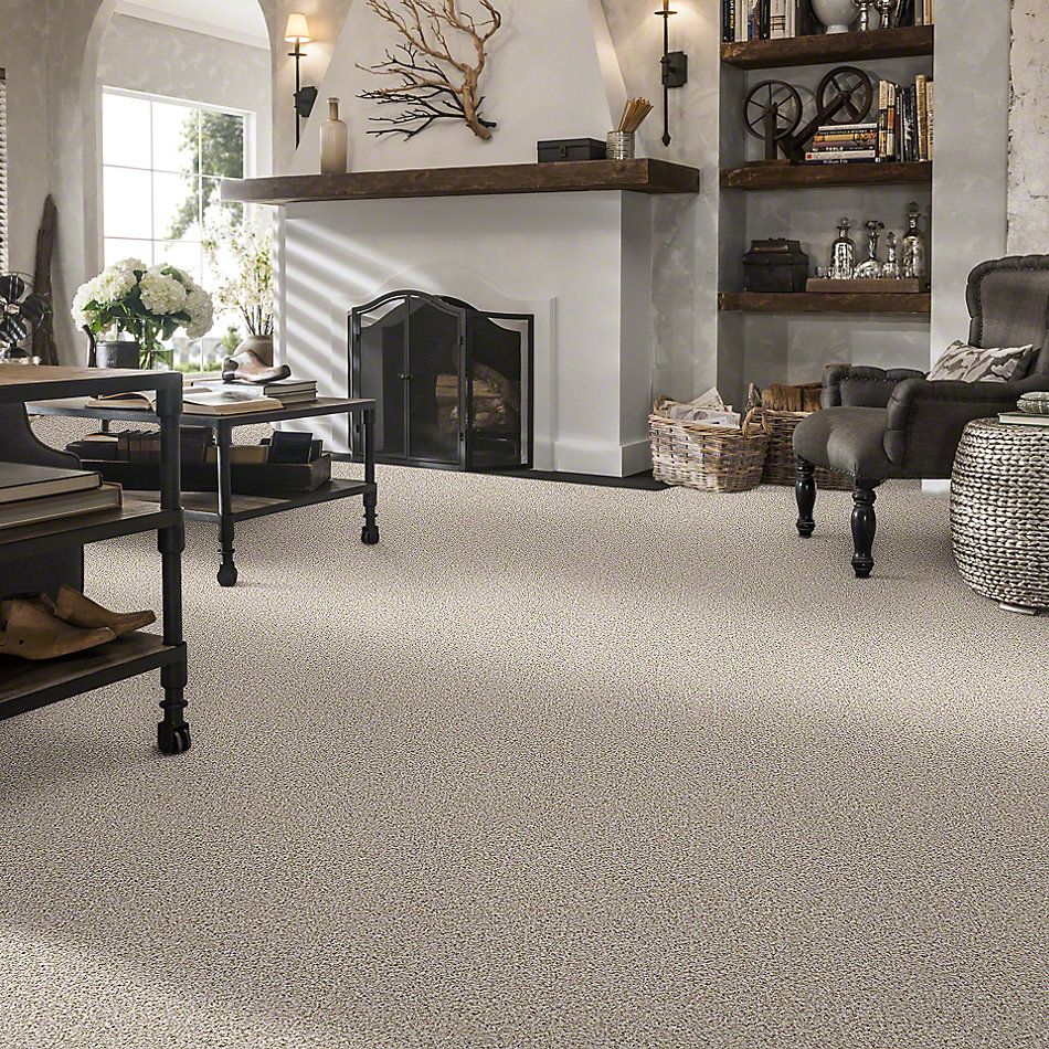 Shaw Floors Caress By Shaw Delicate Distinction Classic I Heath 0540B_BCC18