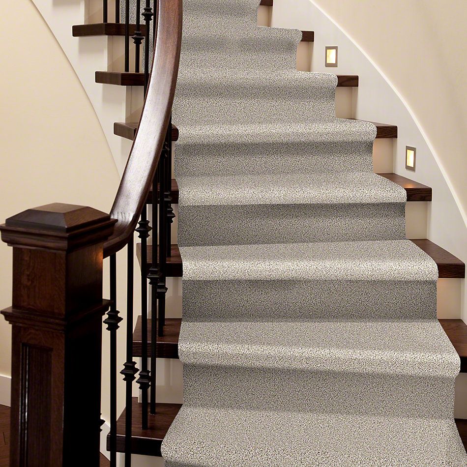 Shaw Floors Caress By Shaw Delicate Distinction Classic I Heath 0540B_BCC18