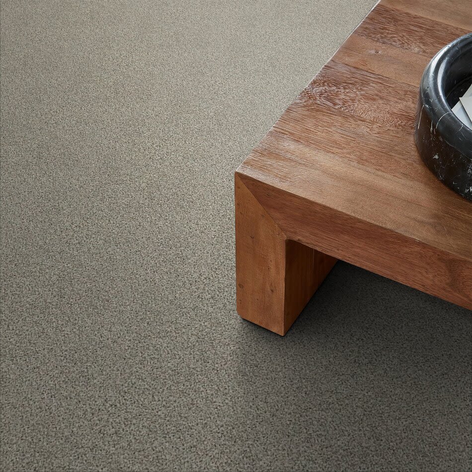 Shaw Floors Endura Corriedale 0550A_E9845