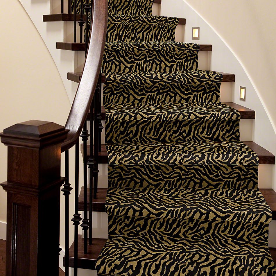 Philadelphia Commercial Call Of The Wild Zebra Grazer 05704_54505