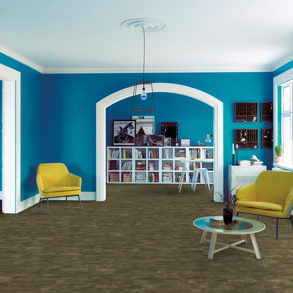 Shaw Floors Carpets Plus Design Values Collection Blended Grove Brazen 07007_CL856