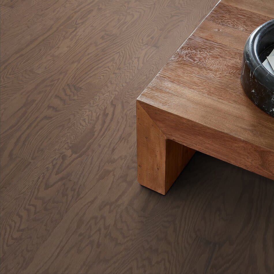 Shaw Floors Everest Molina Place Flax Seed Lg 07087_D2000