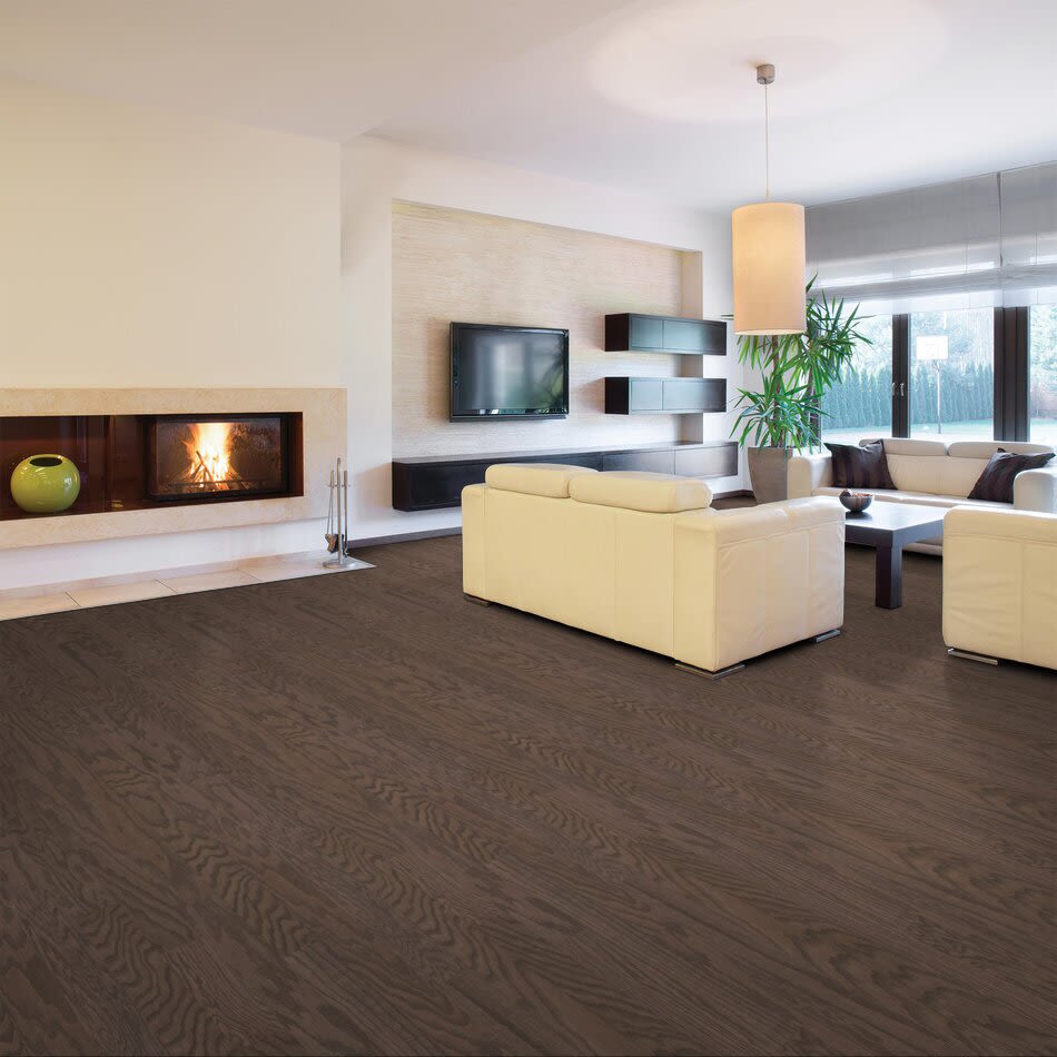 Shaw Floors Everest Molina Place Kona Lg 07091_D2000