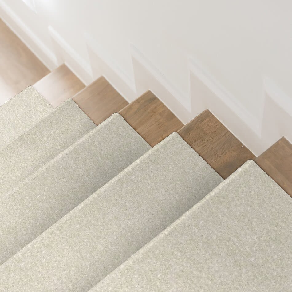 Shaw Floors Roll Special Qs407 Unspecified 07101_QS407