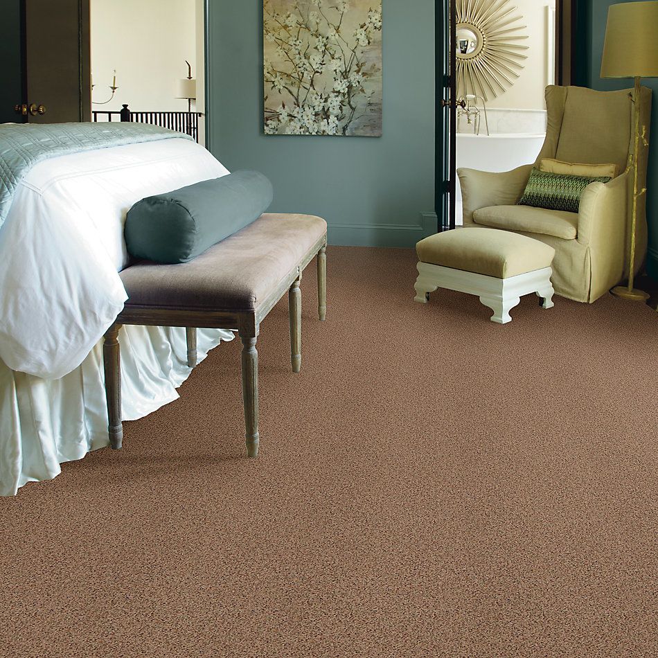 Anderson Tuftex American Home Fashions Canyon View Cinnamon Toast 0722B_ZJ006