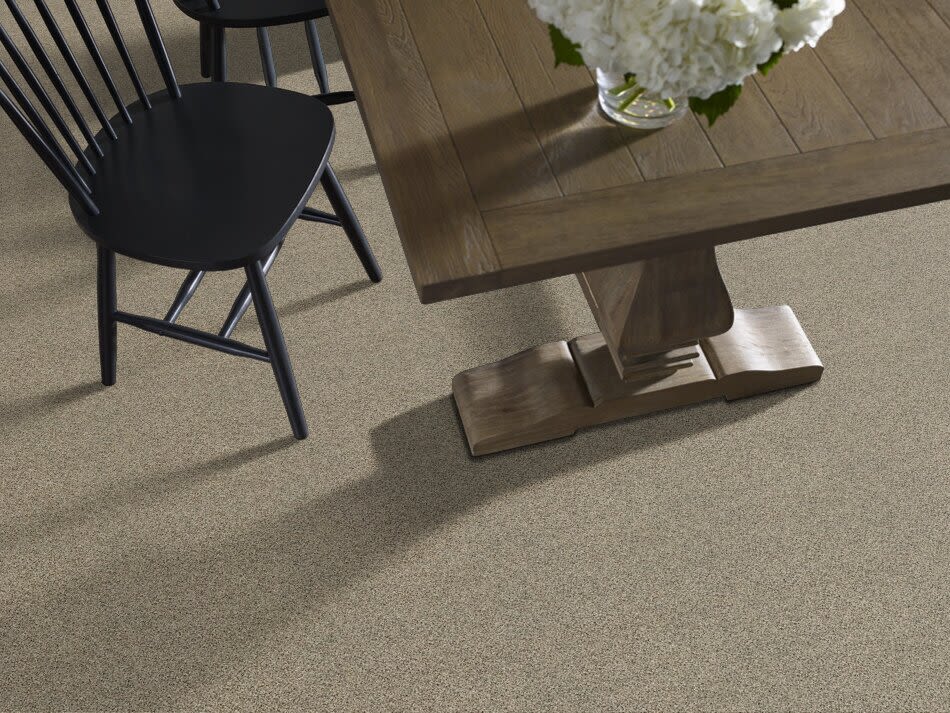 Shaw Floors Endura Wensleydale 0733A_E9845