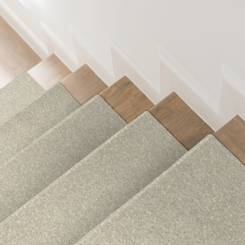 Shaw Floors Roll Special Qs407 Unspecified 07700_QS407