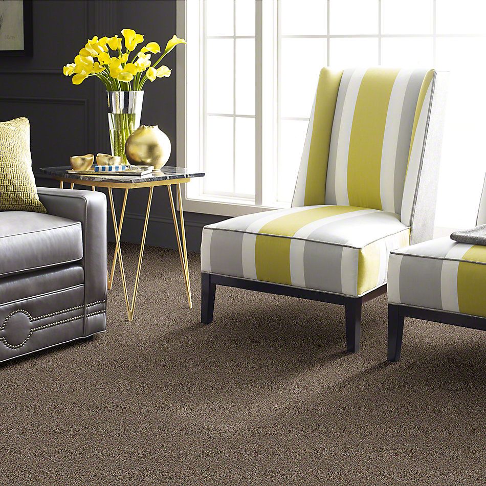 Shop Anderson Tuftex Center Stage II El Dorado 0775J_ZZ011 ...