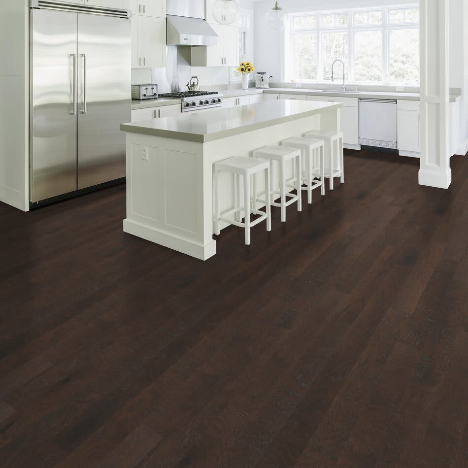 Shaw Floors Carpets Plus Hardwood Destination Polished Timber 5″ Bearpaw 09000_CH885