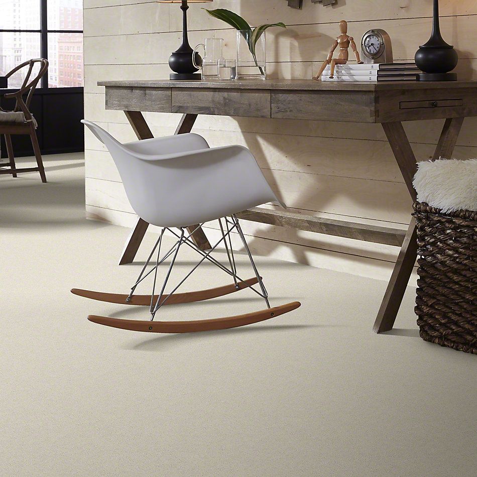 Shaw Floors Simply The Best Attainable Blizzard 100S_E9965