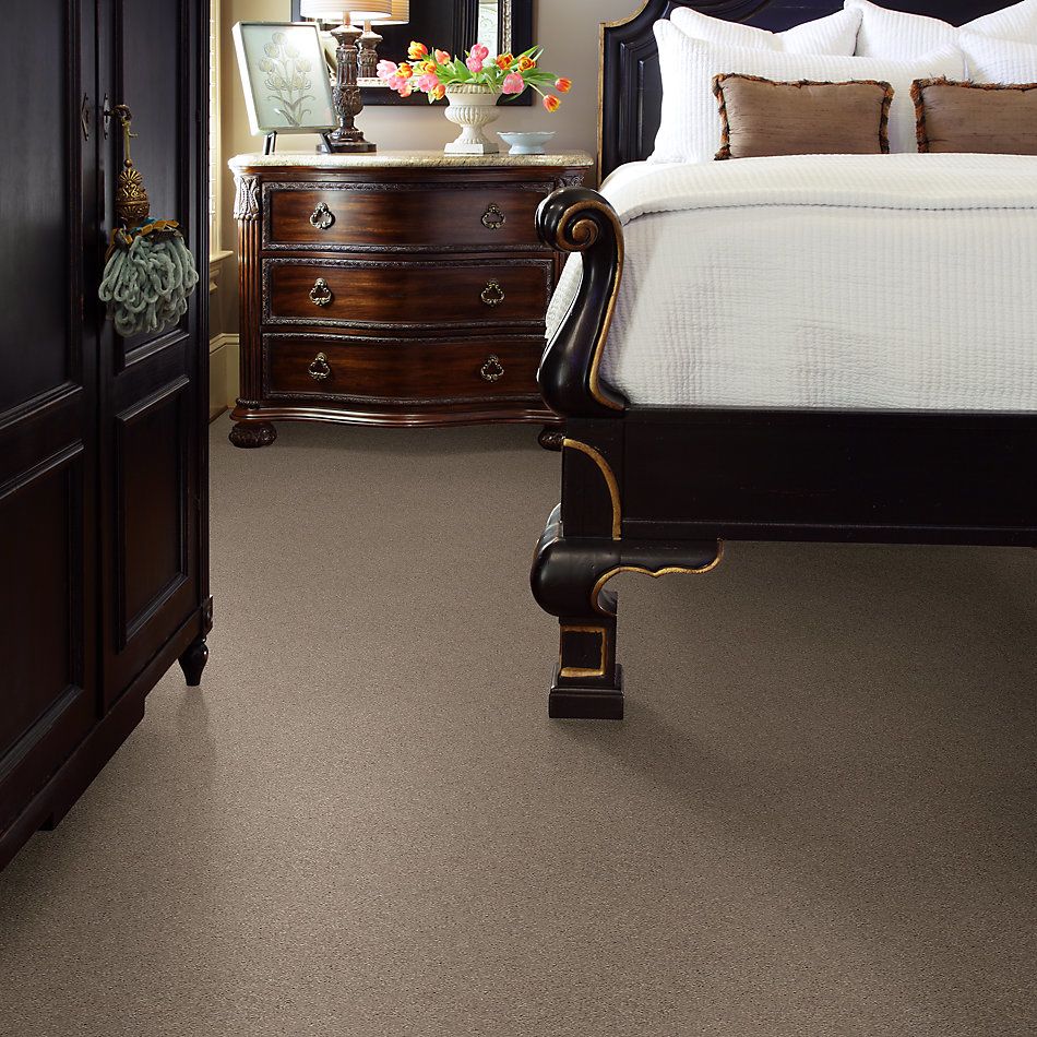 Shaw Floors Simply The Best Attainable Net Pebble Path 101S_5E094
