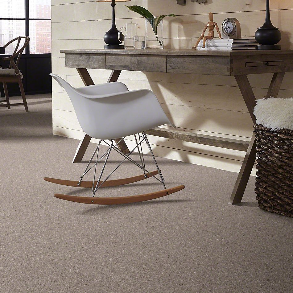 Shaw Floors Simply The Best Momentum II Boutique 102S_E9968