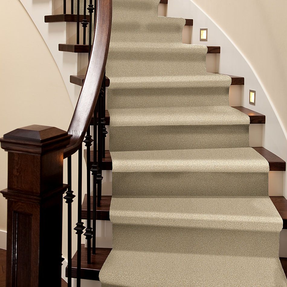 Shaw Floors SFA Fyc Tt I Net Sun Kissed (t) 110T_5E021