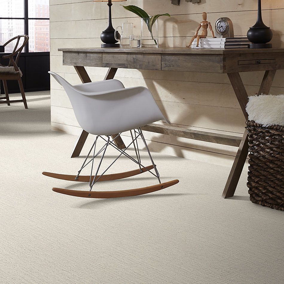Shaw Floors SFA Creating Memories Net Clean Linen 122P_5E027