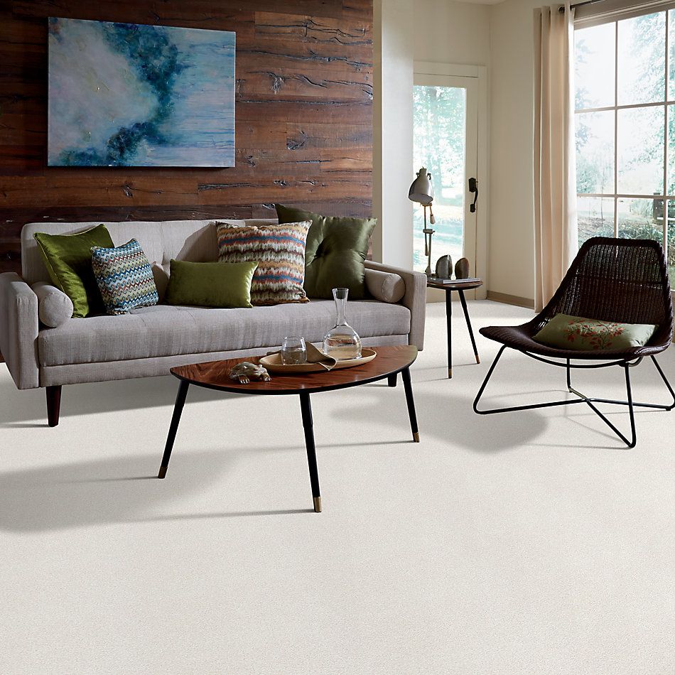 Shaw Floors SFA Fyc Tt II Net Clean Linen (t) 122T_5E022