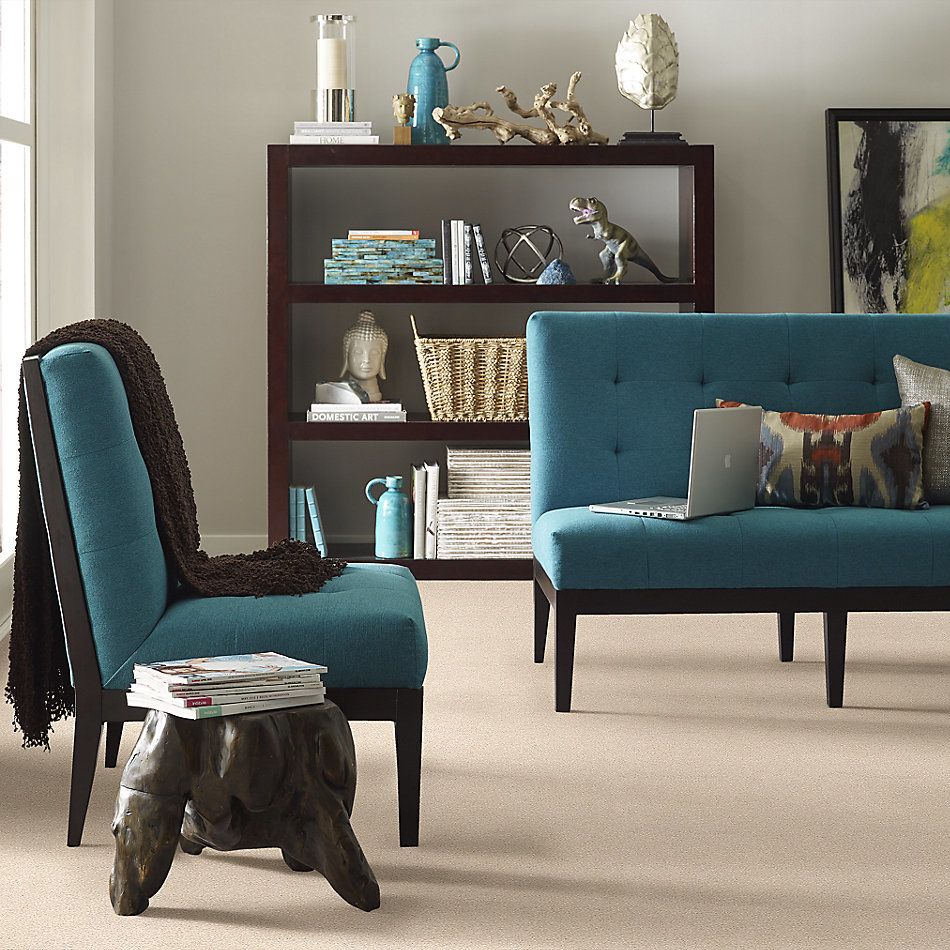 Shaw Floors SFA Fyc Ns II Net Happy Place (s) 123S_5E019
