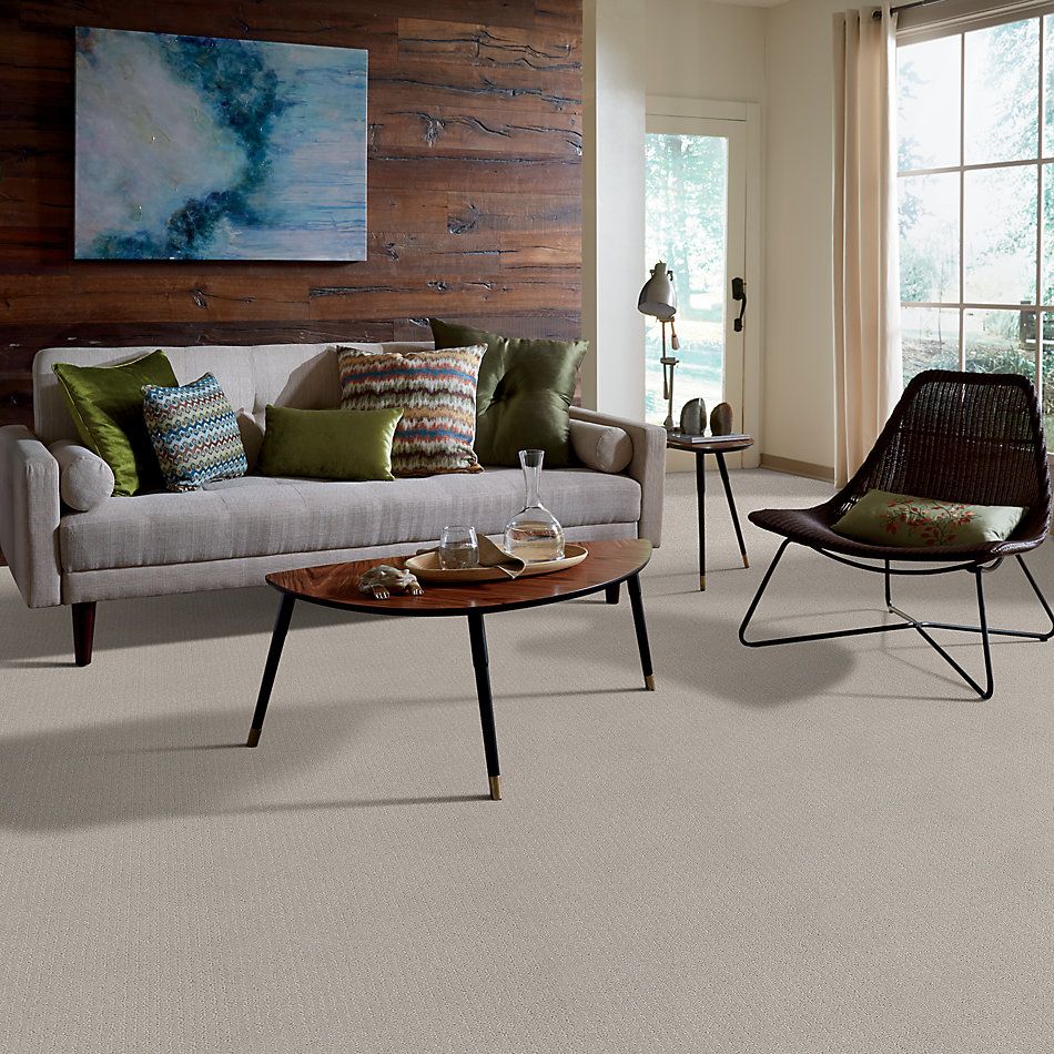 Shaw Floors Value Collections Warm Memories Net Chill In The Air 126P_5E029