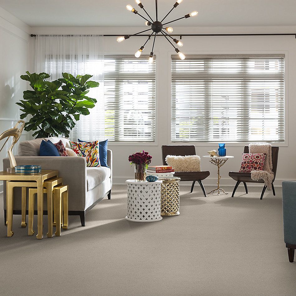 Shaw Floors SFA Fyc Ns I Net Need A Hug (s) 129S_5E018