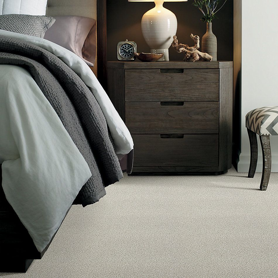 Shaw Floors SFA Fyc Tt II Net Need A Hug (t) 129T_5E022