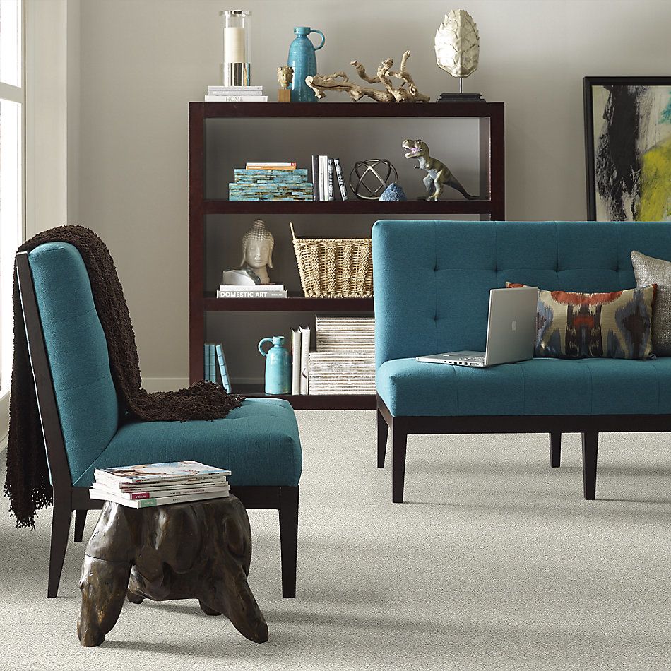 Shaw Floors SFA Fyc Tt Blue Net Need A Hug (t) 129T_5E023