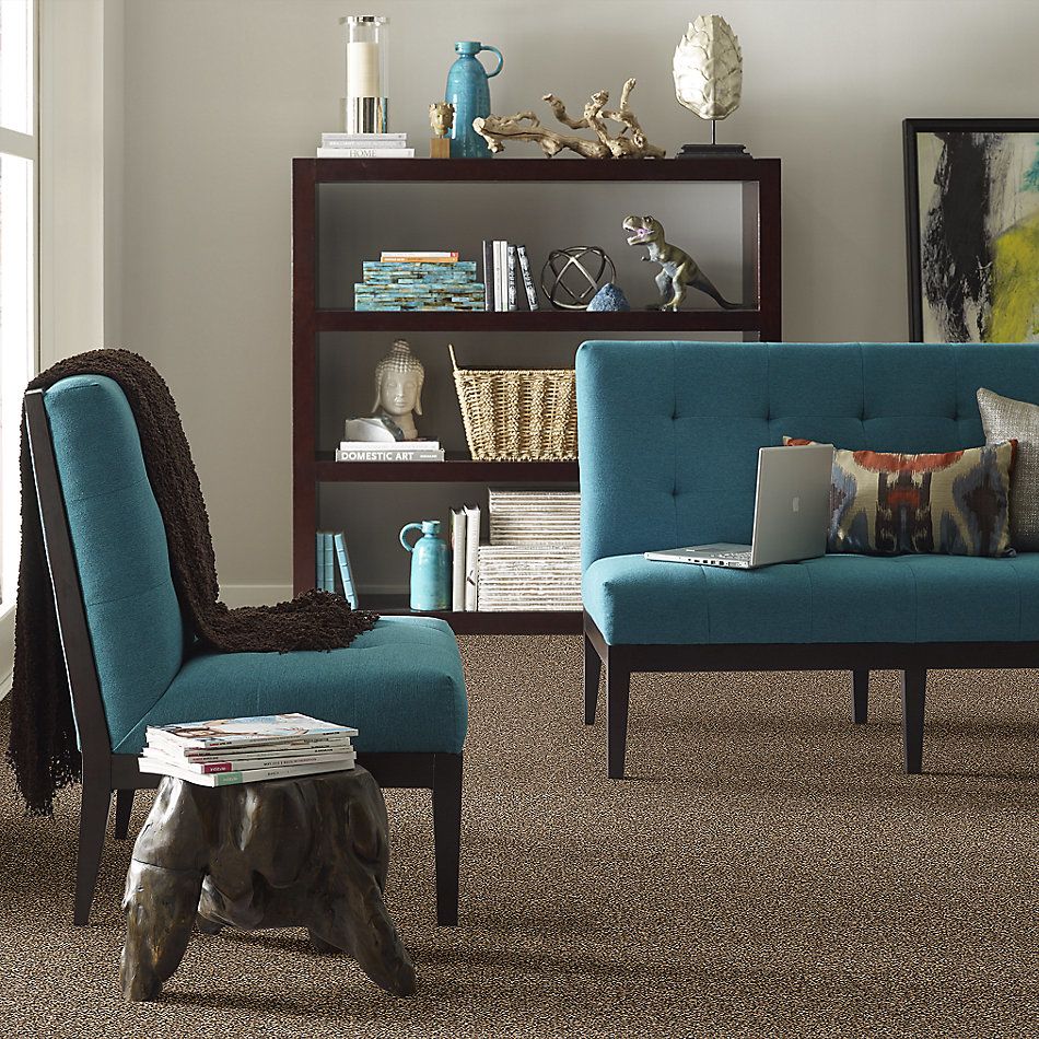 Shaw Floors Value Collections Summertown III Hidden Treasure 13201_5E432