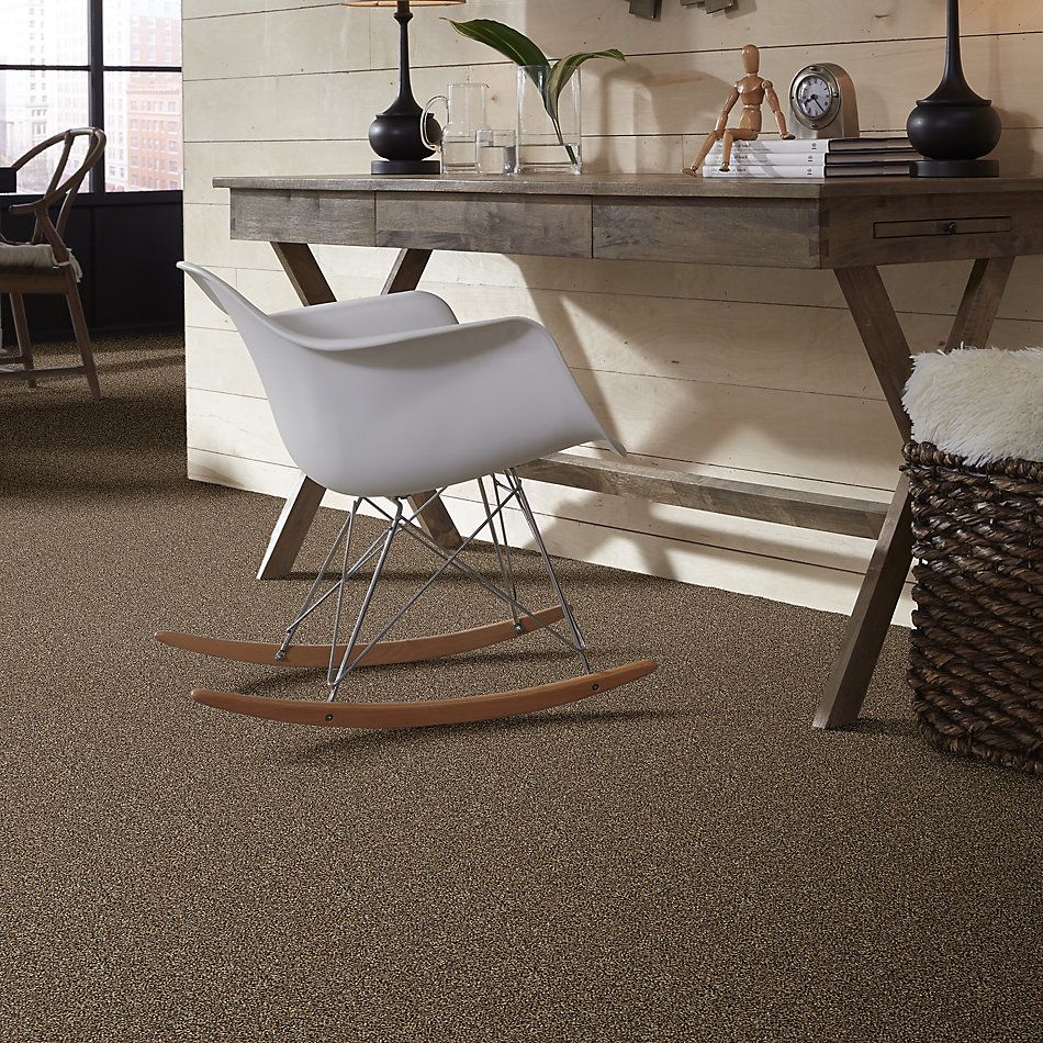Shaw Floors Value Collections Summertown III Hidden Treasure 13201_5E432