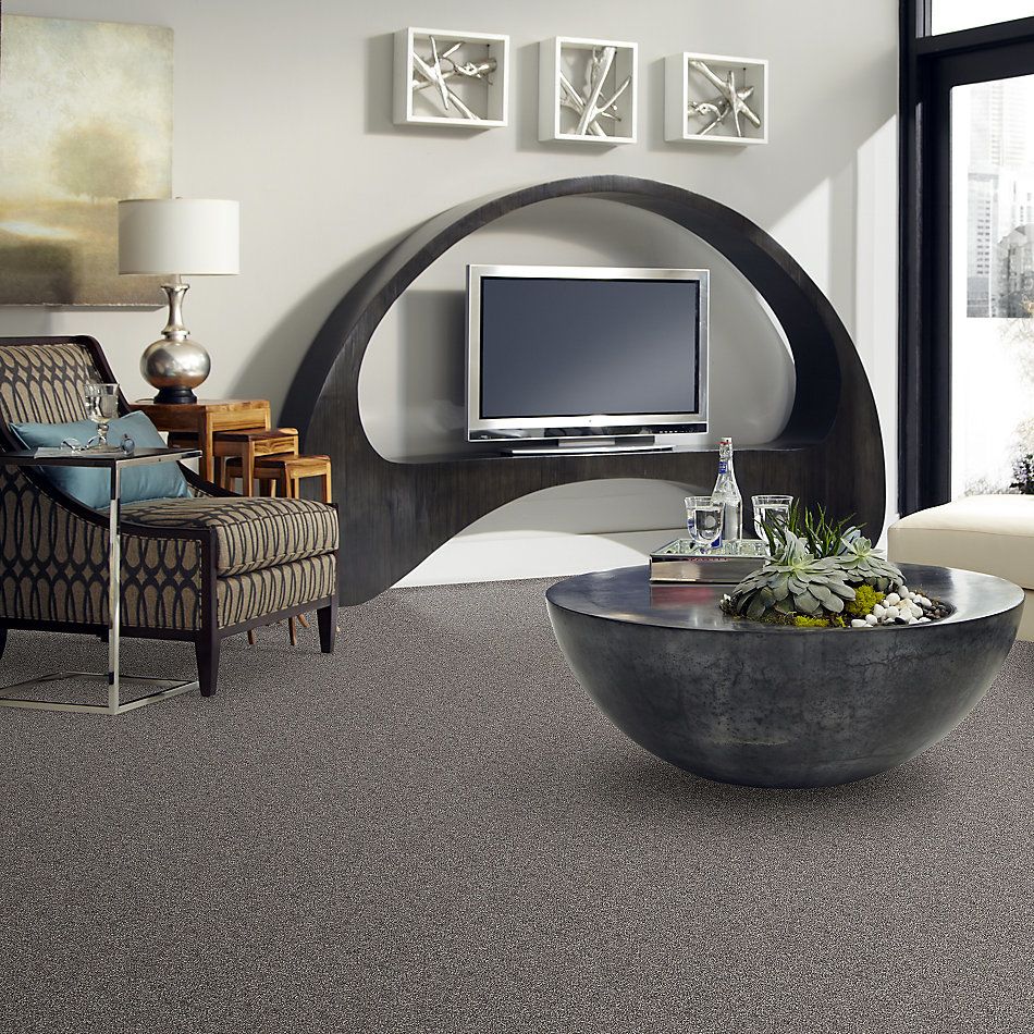 Shaw Floors Value Collections Summertown III Creekside 13521_5E432