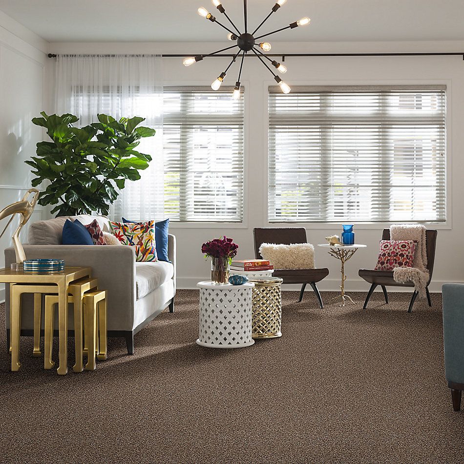 Shaw Floors Value Collections Summertown III Pebble Path 13700_5E432