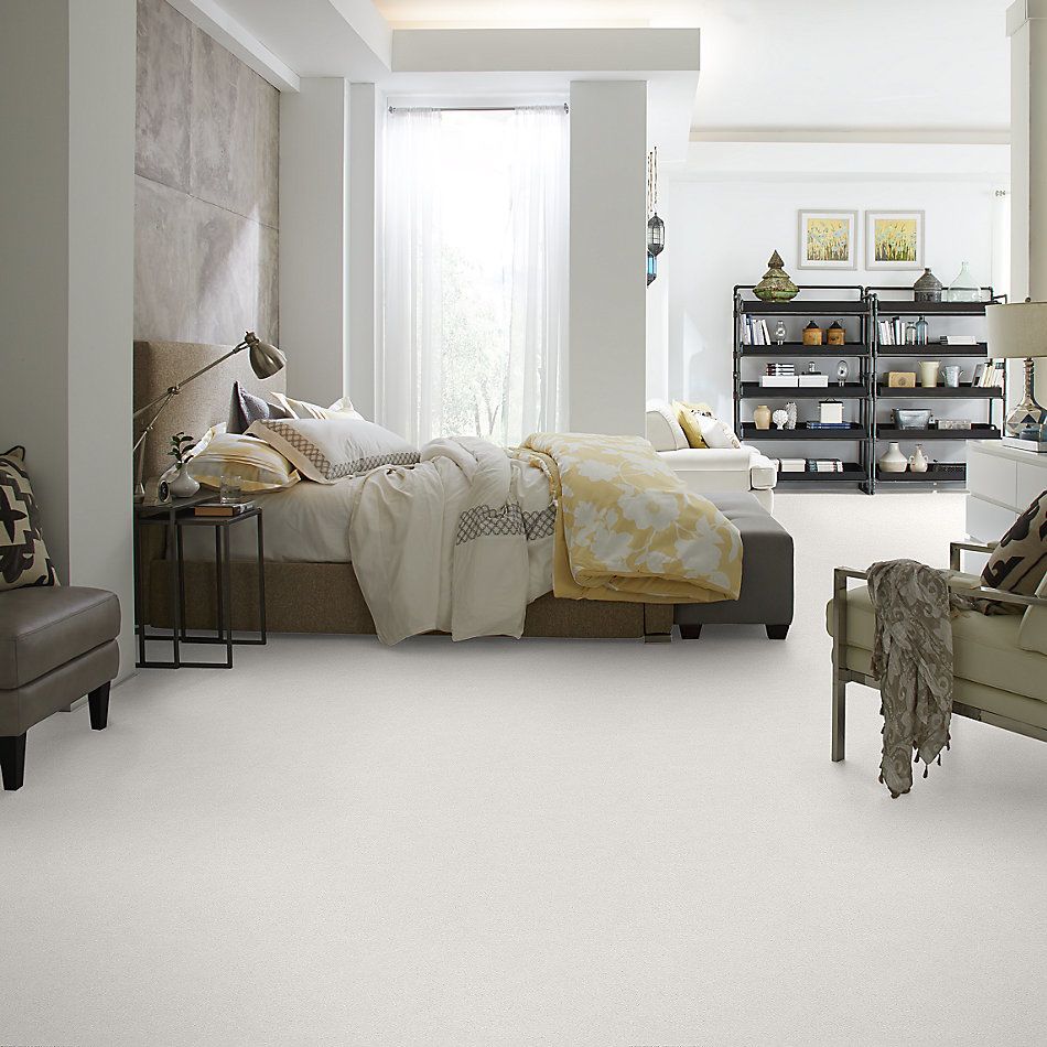 Shaw Floors SFA Fyc Ns II Net Coming Home (s) 151S_5E019