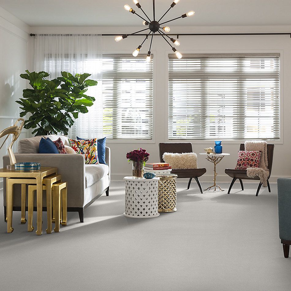 Shaw Floors SFA Fyc Ns II Net Coming Home (s) 151S_5E019