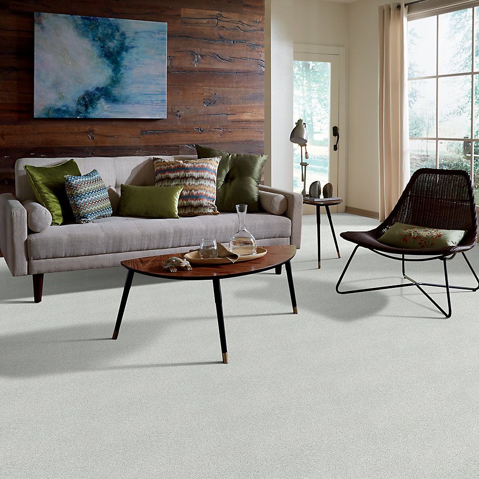 Shaw Floors SFA Fyc Tt Blue Net Whitewashed Frame (t) 154T_5E023
