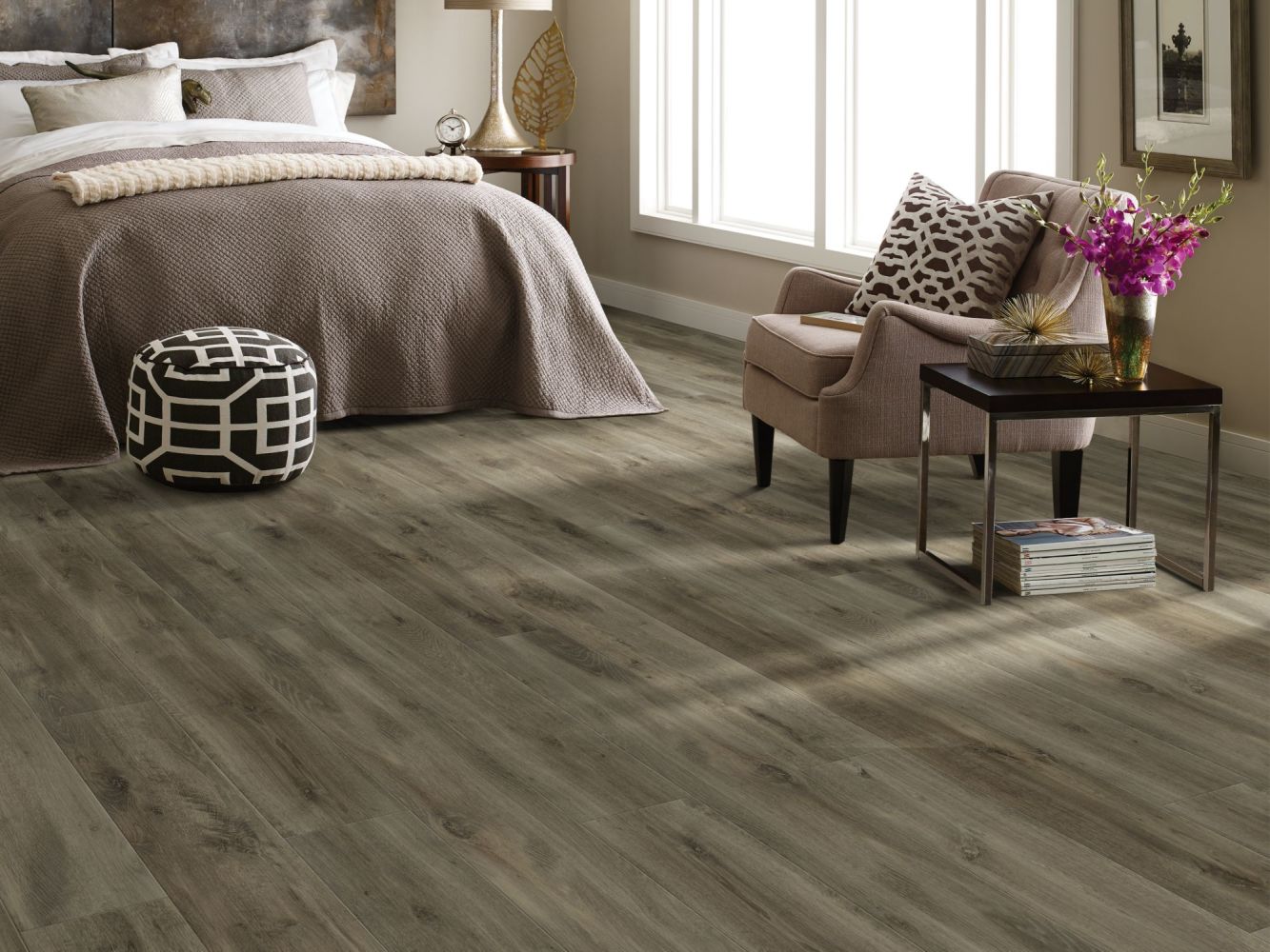 Shop Shaw Floors Resilient Residential Allegiance+ Accent Ambassador