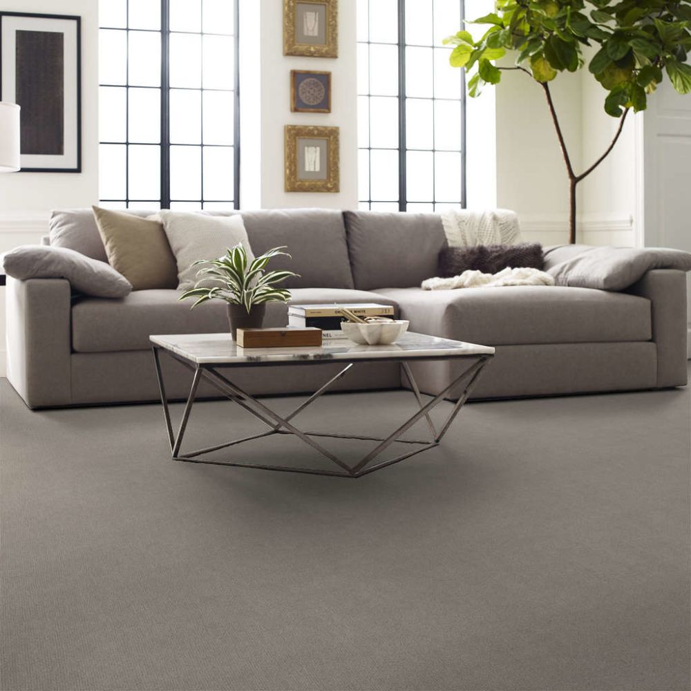 Shaw Sensible Now Stock Etched Glass E9720-00576