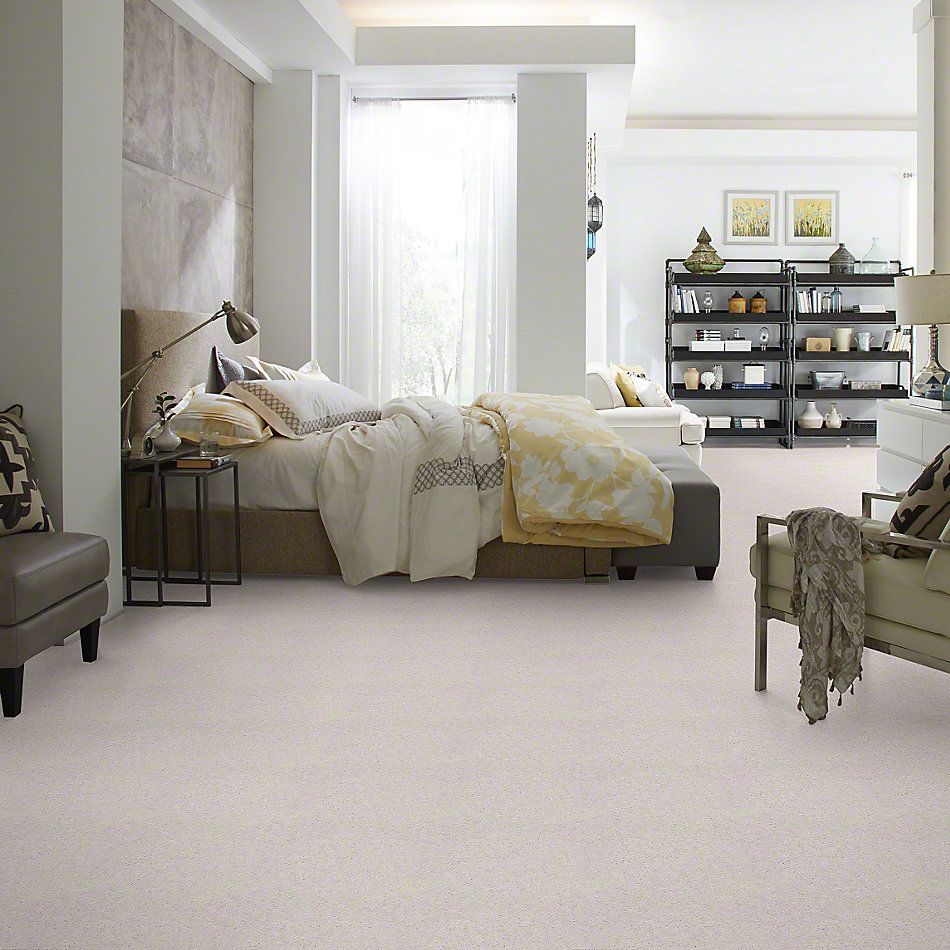Shaw Floors Atherton Ermine 29100_52029