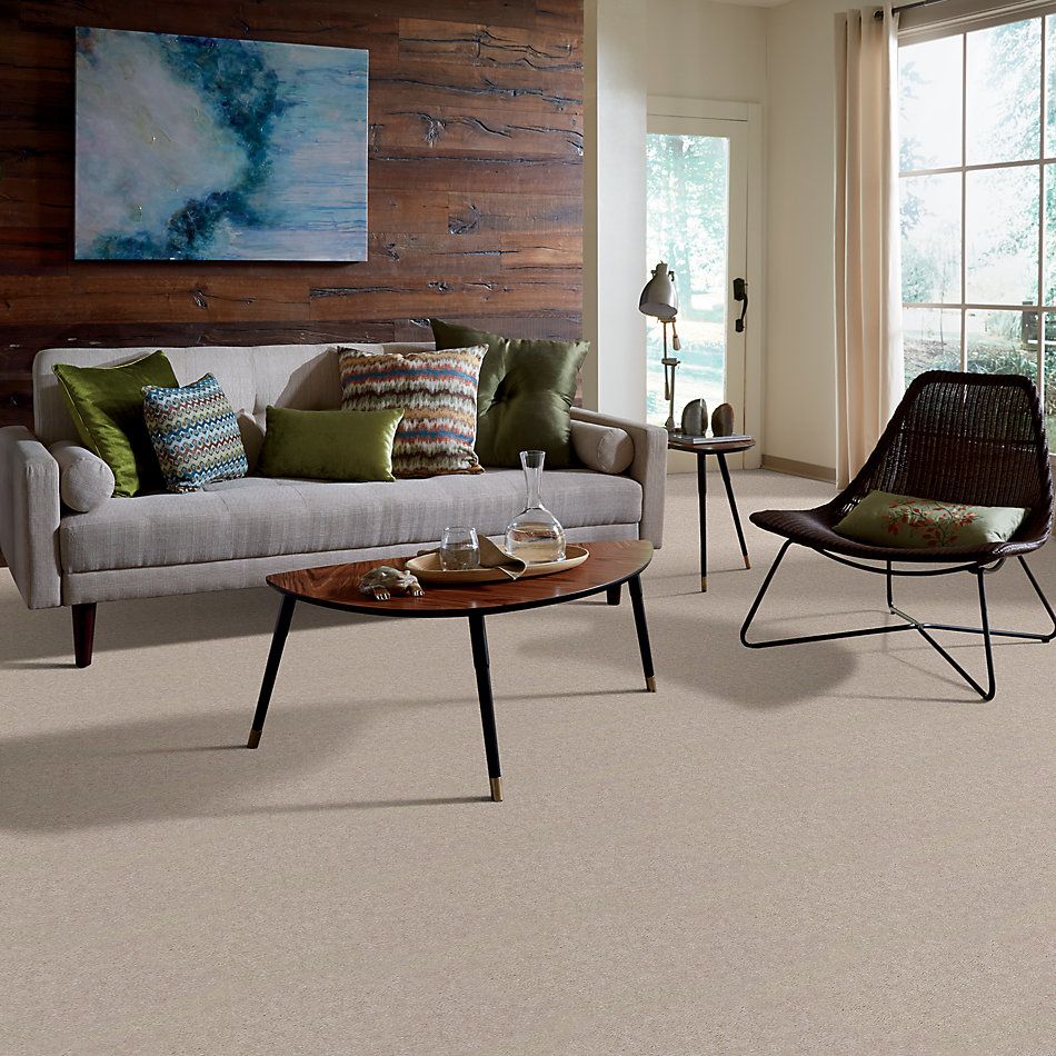 Shaw Floors Shaw On Shelf Le Morne Light Taupe 29110_SOS38