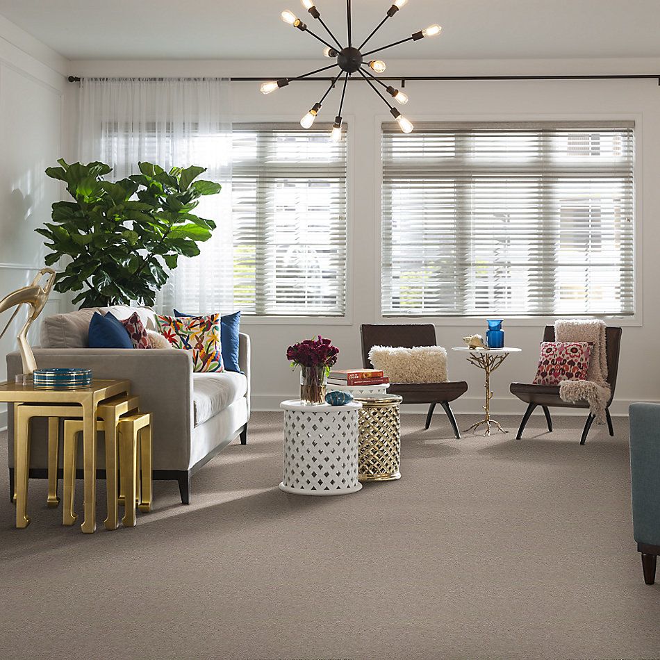 Shaw Floors Carpet Land Atherton Unspecified 29110_T6291