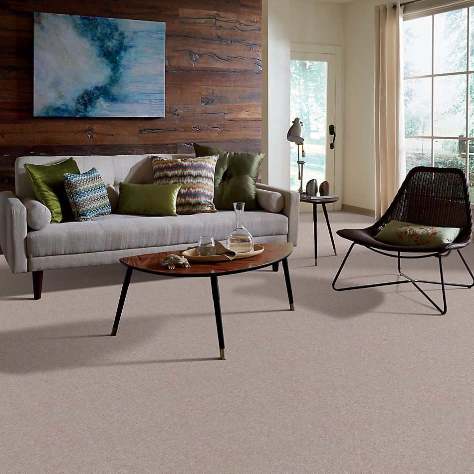 Shaw Floors Carpet Land Atherton Unspecified 29111_T6291