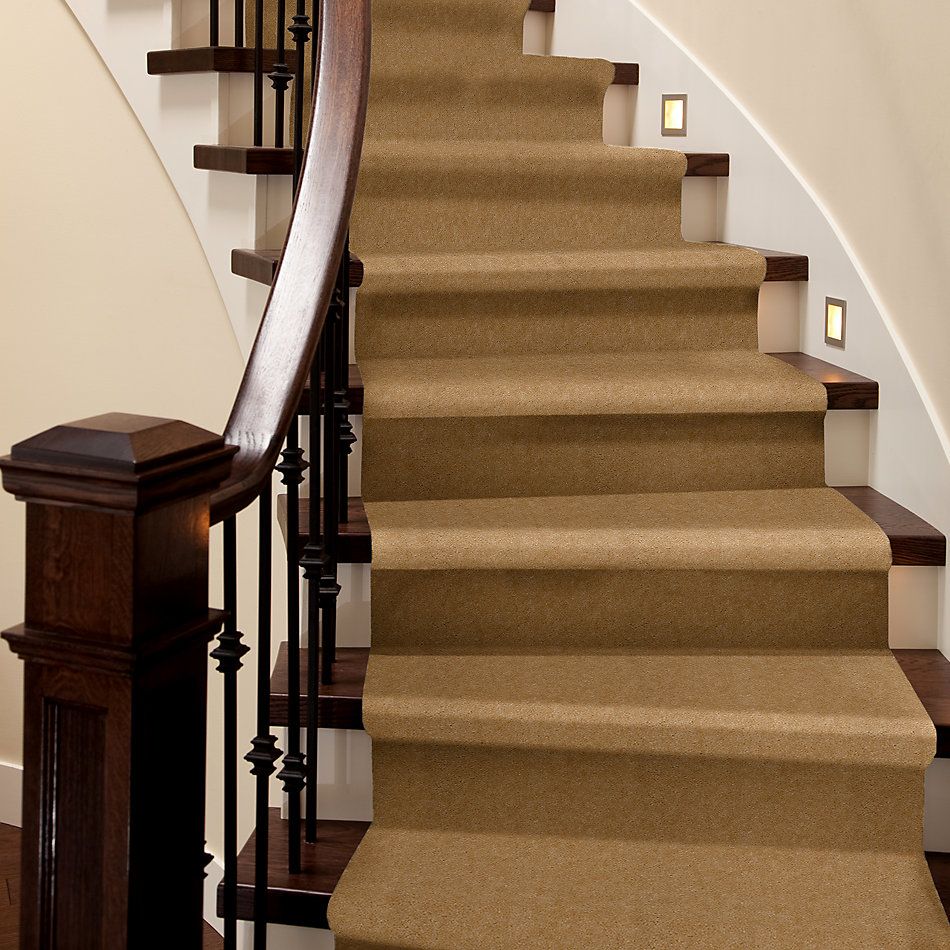 Shaw Floors Carpet Land Atherton Unspecified 29200_T6291