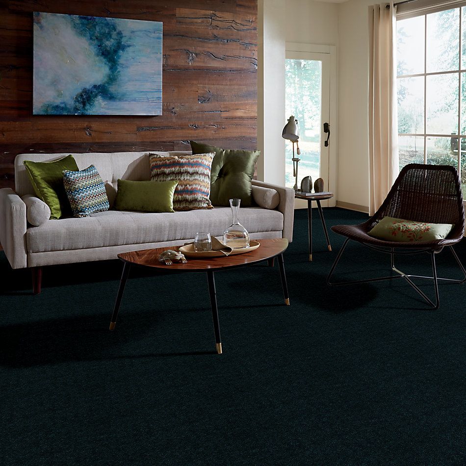 Shaw Floors Carpet Land Atherton Unspecified 29303_T6291